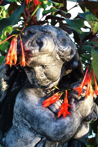 image image