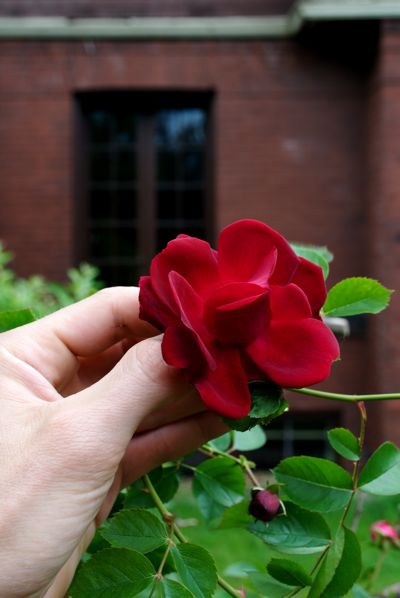 image image