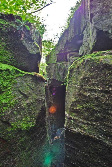 image image