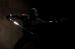 Snakeeyesofficial1Thumbnail0322.jpg