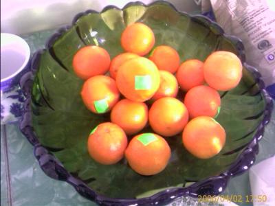 Funny Pictures Of Oranges. These organic mini oranges are
