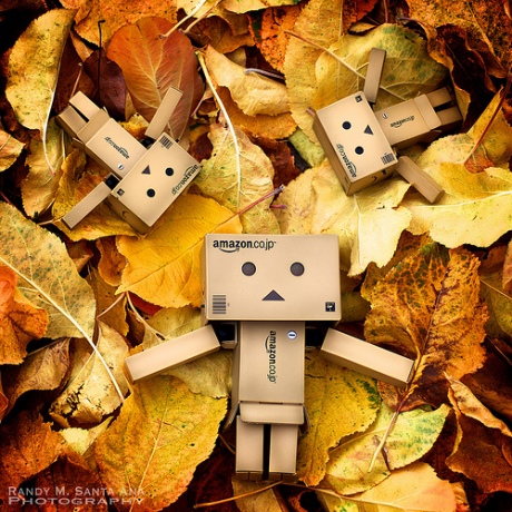 Danbo Toys on Danbo  Written By Tinypliny For Untitled