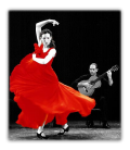 Flamenco1.png