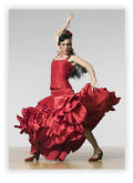Flamenco4.png