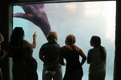 0707/Zoo1010731.jpg
