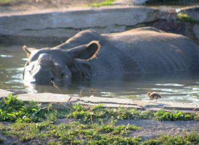 0707/Zoo1020731.jpg