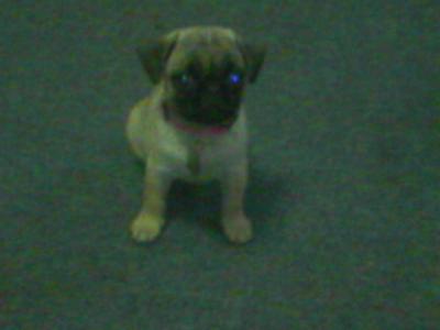 0106/Picture0222920.jpg