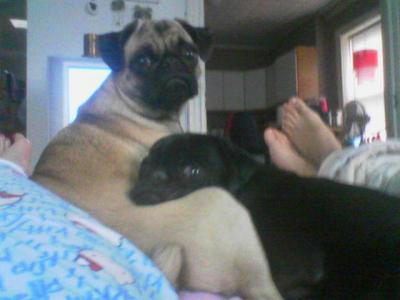 0306/eli_and_sophia0600.jpg