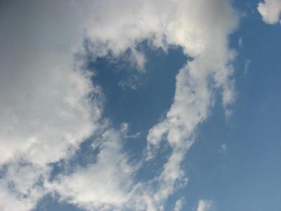 0809/CloudsBird30826.jpg