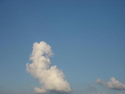 0809/LittleCloud130826.jpg