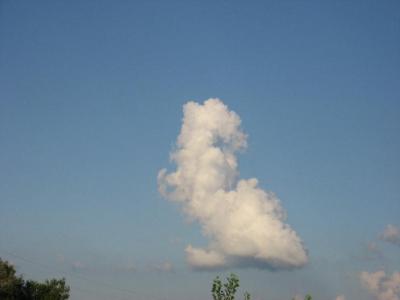 0809/LittleCloud230826.jpg