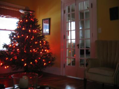 1207/IMG01021209.jpg