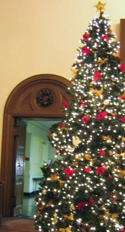 1207/LafayetteTree1209.jpg