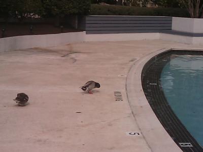 0309/IMAG00540311.jpg