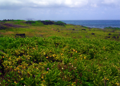 0406/field5346.jpg