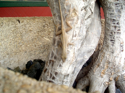 0406/geico3052.jpg