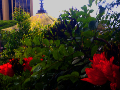 0406/temple5346.jpg