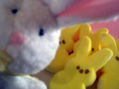 0606/bunnnypeeps3357.jpg