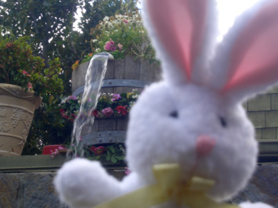 0606/bunny13357.jpg