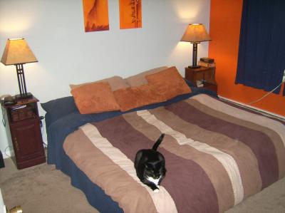 0807/BedAndSid0806.jpg