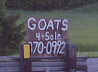 0608/IMG000060603.jpg