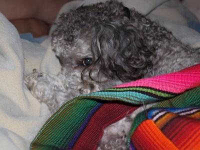 0708/NishaCute0715.jpg