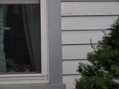 0708/Paintdetail0729.jpg