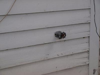 0708/Paintdetail10729.jpg