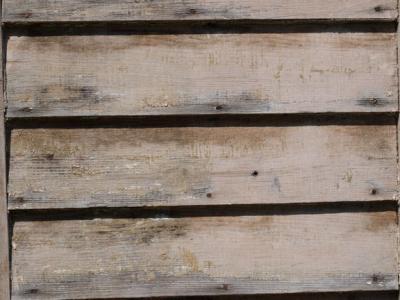 0708/Paintscraped0729.jpg