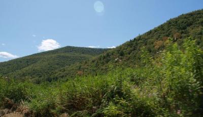 0709/H71474200723.jpg