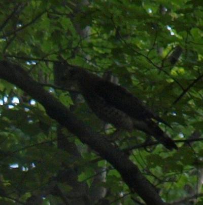 0809/H72880130807.jpg