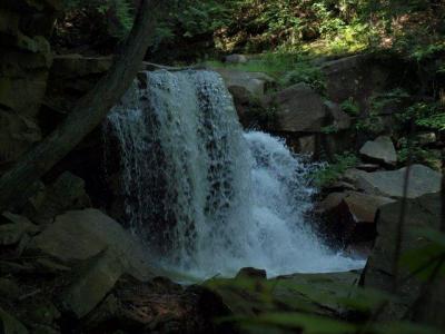 0909/H81587100917.jpg