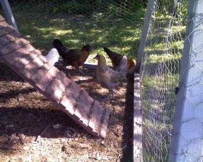 0909/Photo0904090040906.jpg