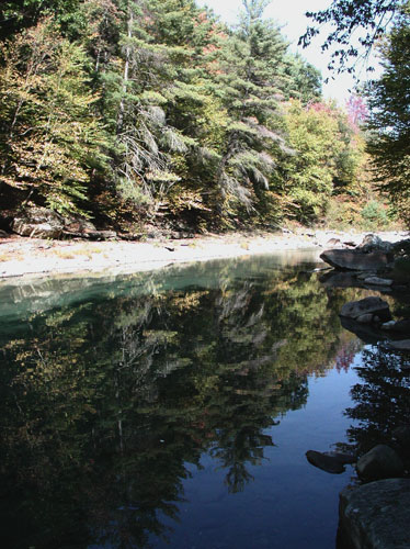 1008/Reflections1007.jpg
