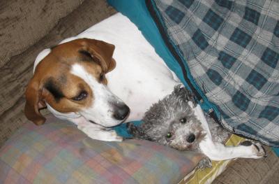 1208/IMG01061207.jpg