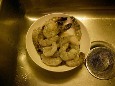 0409/Shrimps0417.jpg