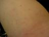 0806/gross_part_23934.jpg