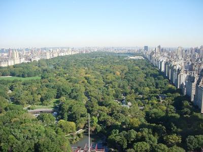 1006/Central_Park_15926.jpg