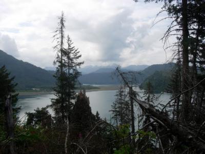 1109/MoreTrails1117.jpg