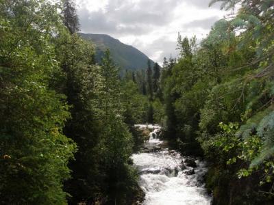 1109/SalmonRiver1117.jpg