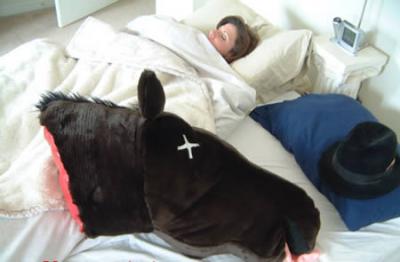 0509/A423Horsehead0503.jpg
