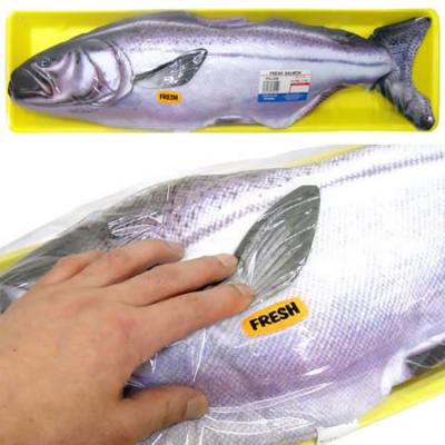 0509/A423Salmon0503.jpg
