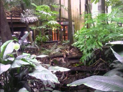 0607/IMAGE002710621.jpg