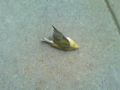 0908/IMAG00540913.jpg