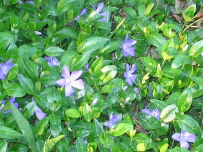 0408/IMG03420423.jpg