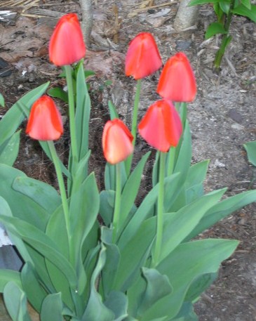 0408/IMG03430423.jpg