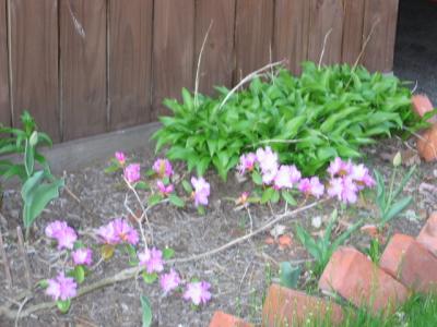 0408/IMG03440423.jpg