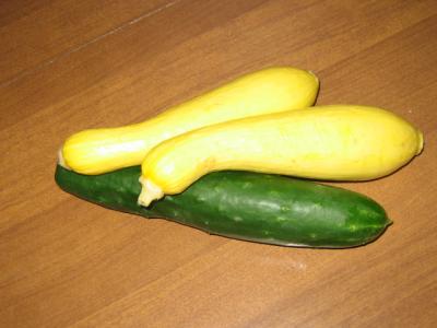 0708/IMG08100715.jpg