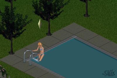 1007/SwimmingPool21009.jpg