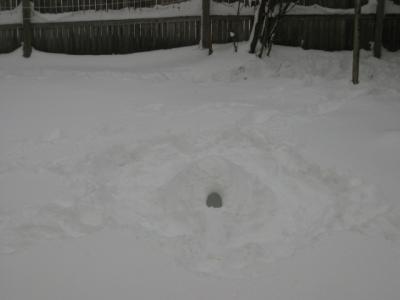 1208/IMG14671223.jpg 1208/IMG14671223.jpg